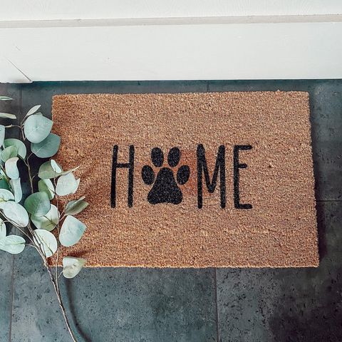 Pawfect Home